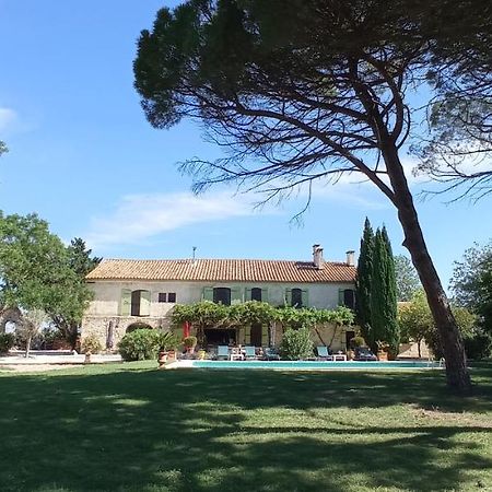 Le Mas Neuf 1752 Arles Bagian luar foto