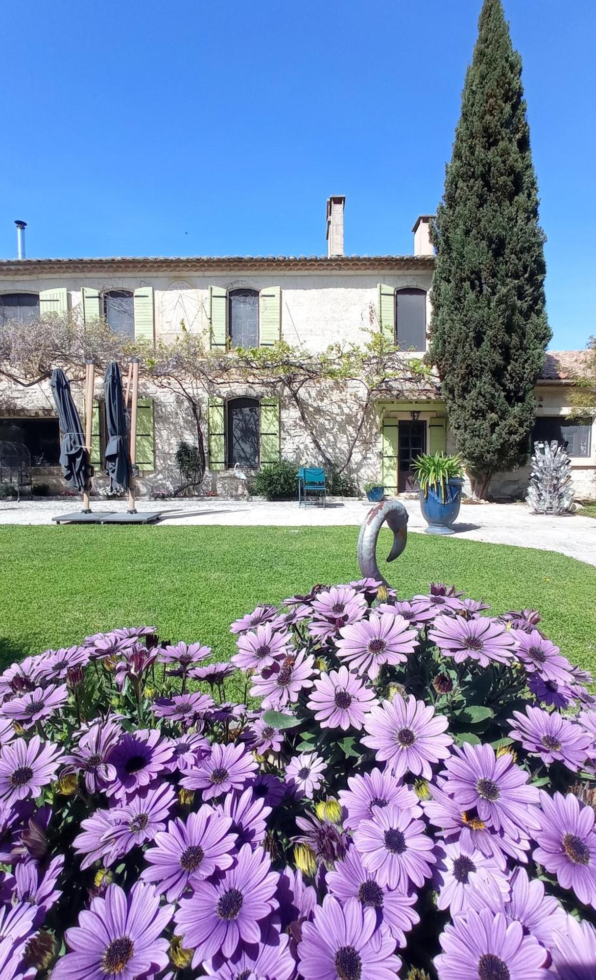 Le Mas Neuf 1752 Arles Bagian luar foto